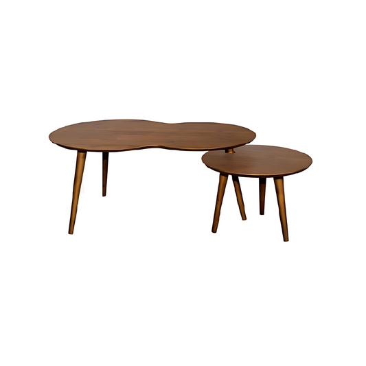 Lopez Coffee Table and Side Table set