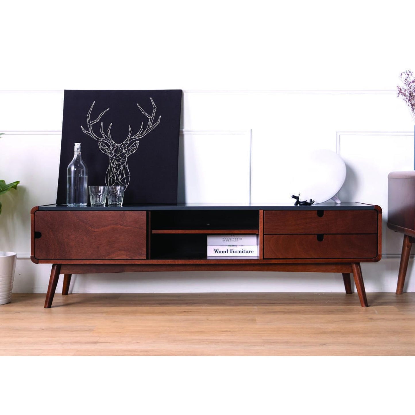 Zara TV Unit